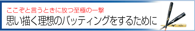 ここぞというときに放つ至極の一撃　